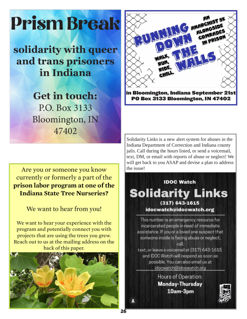 Prism Break  solidarity with queer and trans prisoners in Indiana  Get in touch: 50 Box 2553 Bloomigton N 47402 | P.O. Box 3133 Bloomington, IN: 47402  Solidarity Links is a new alert system for abuses in the Indiana Department of Correction and Indiana county jails. Call during the hours listed, or send a voicemail, text, DM, or email with reports of abuse or neglect! We will get back to you ASAP and devise a plan to address  Are you or someone you know the issuel currently or formerly a part of the prison labor program at one of the  Indiana State Tree Nurseries? solidarity Links  (317) 643-1615 ‘We want to hear from you! idocwatch@idocwatch.org  1IDOC Watch  an emergency resource for  ‘We want to hear your experience with the d S dmediate  program and potentially connect you with projects that are using the trees you grew. Reach out to us at the mailing address on the back of this paper.  Hours of Operation:  Monday-Thursday 10am-3pm @ L 